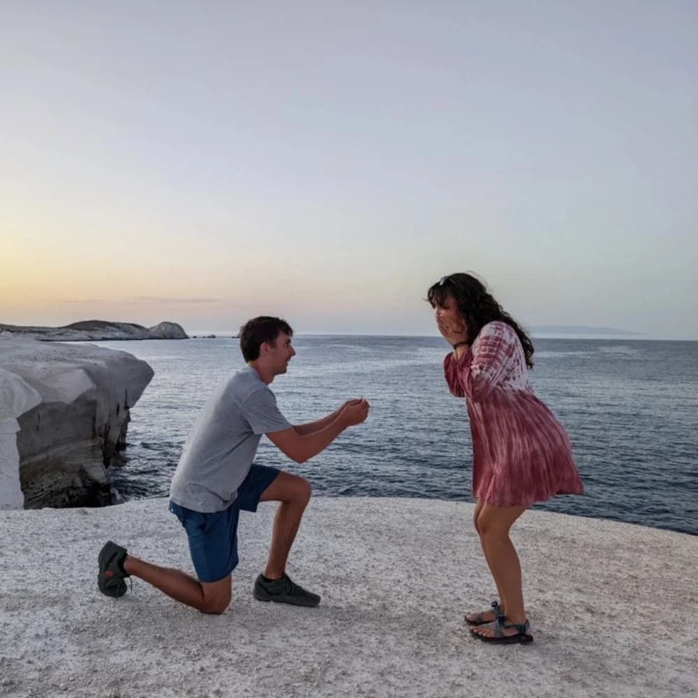 Fake proposal